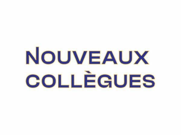 Illustration de l'article Nouveaux Coll&egrave;gues : l&rsquo;association qui r&eacute;invente l&rsquo;inclusion au travail